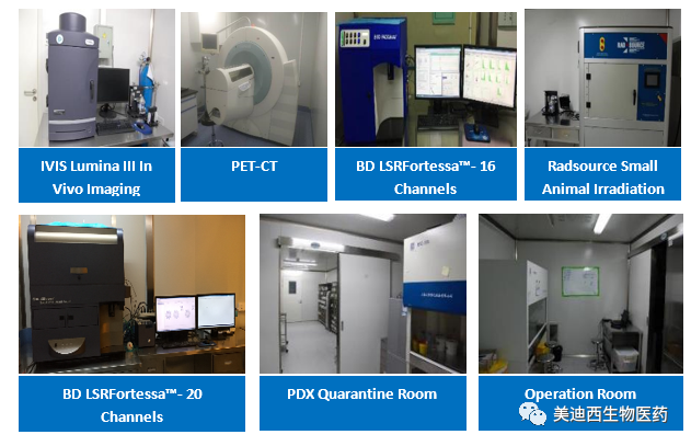 BBIN游戏药理部拥有IVIS Lumina III, PET-CT, BD LSRFortessa-16, Flow Cytometry等仪器，，提供切合申报，，支持临床试验的药效评价效劳。。。