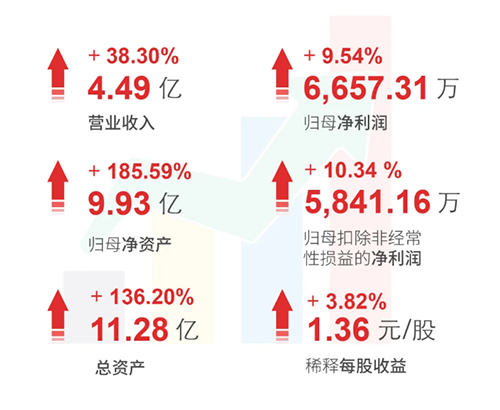 BBIN游戏 财务亮点
