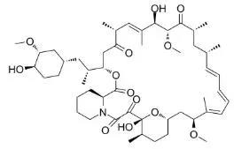 雷帕霉素新制剂用于有数病，，获4500万美元融资