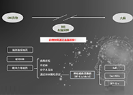 人工合成NT类脂质开放血脑屏障，，为CNS药物翻开新时势