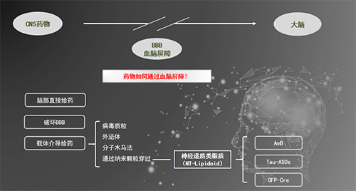 人工合成NT类脂质开放血脑屏障，，，为CNS药物翻开新时势