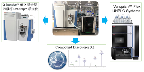 BBIN游戏UHPLC-UV-QE HF-X系统