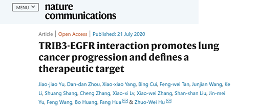 Nature|非小细胞肺癌治疗新计划：靶向降解EGFR