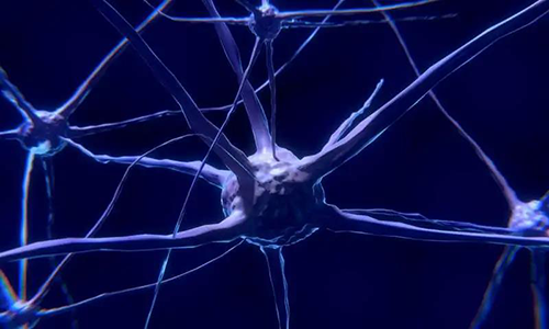 研究首次批注，，与年岁有关的认知损失可能主要是由一种可逆的心理性“阻滞”而不是永世性的降解引起的。。