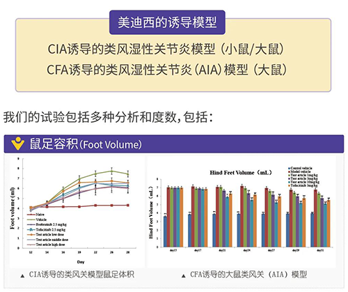BBIN游戏诱导的类风湿性枢纽炎模子