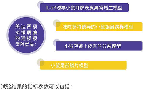 BBIN游戏模拟银屑病的建模模子种类