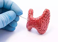 【Science速递】揭开甲状腺的神秘面纱，，，，开启代谢药物新征程
