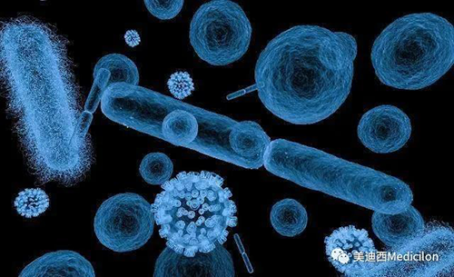 20分钟，，大大都细菌都可以繁衍一代 BBIN游戏生物医药