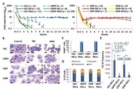 Science子刊：一种FDA批准的抗腹泻药物可有用对抗化疗的耐药性 BBIN游戏生物医药