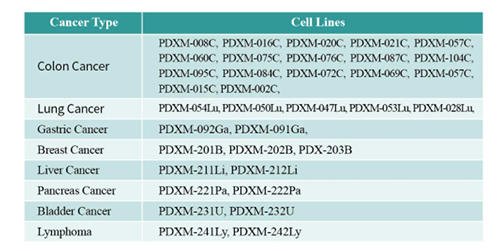 PDX小鼠肿瘤模子