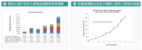 IO药效模子_肿瘤免疫_药效评价模子-BBIN游戏生物医药