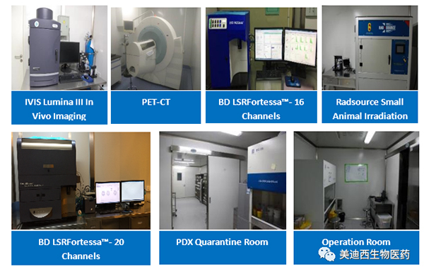 BBIN游戏药理部拥有IVIS Lumina III, PET-CT, BD LSRFortessa-16，，，，Flow Cytometry等仪器