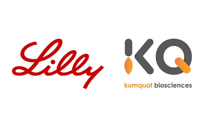 祝贺！BBIN游戏相助同伴Kumquat Biosciences与礼来告竣相助，，配合开发肿瘤免疫小分子药