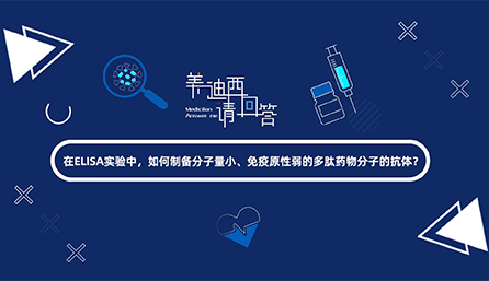 在ELISA实验，，，，，，怎样制备分子量小、免疫原性弱的多肽药物分子的抗体？？？？？？