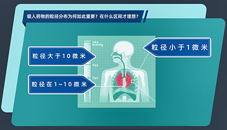 吸入药物的粒径漫衍为何云云主要？？？？在什么区间才理想？？？？