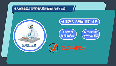 吸入安评是否全程接纳吸入给药的方法完成试验呢？？？？