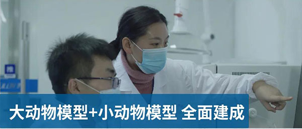大动物模子和小动物模子周全建成.jpg