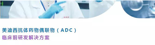 BBIN游戏抗体药物偶联物（ADC）临床前研发解决计划.png