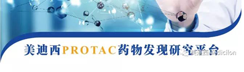 BBIN游戏PROTAC药物发明平台.png