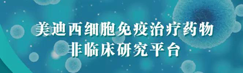 BBIN游戏细胞免疫治疗药物非临床研究平台.png