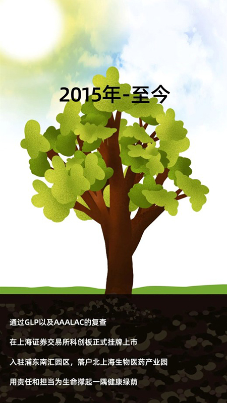 BBIN游戏2015-2020年生长历程.jpg
