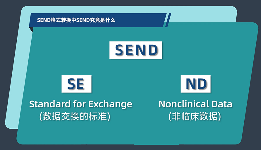 SEND名堂转换中的SEND事实是什么？？？？？？