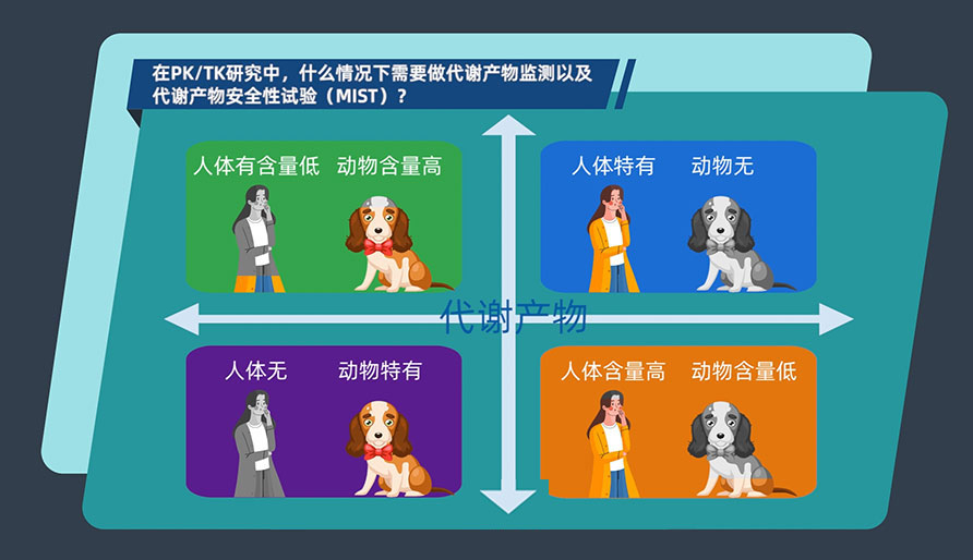 在PK-TK研究中，，，，，什么情形下需要做代谢产品监测以及代谢产品清静性试验（MIST）