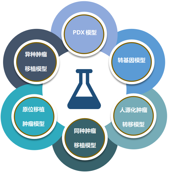BBIN游戏致力于为客户提供成熟的评估ADC体内药效的肿瘤模子.png