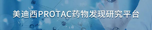 BBIN游戏PROTAC药物发明研究平台.png