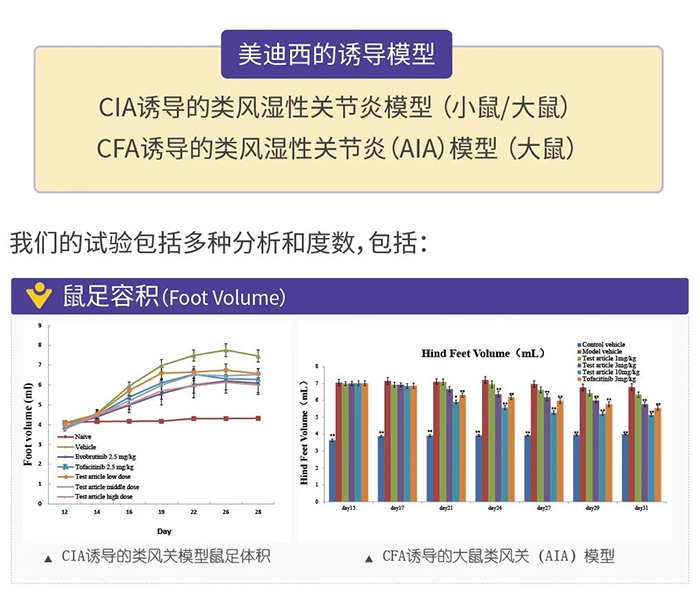 BBIN游戏诱导的类风湿性枢纽炎模子-1.png