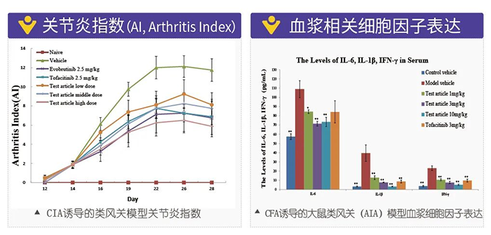 BBIN游戏诱导的类风湿性枢纽炎模子-2.png
