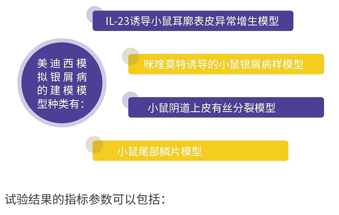 BBIN游戏模拟银屑病的建模模子.png