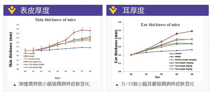 BBIN游戏模拟银屑病的建模模子-试验效果的指标.png
