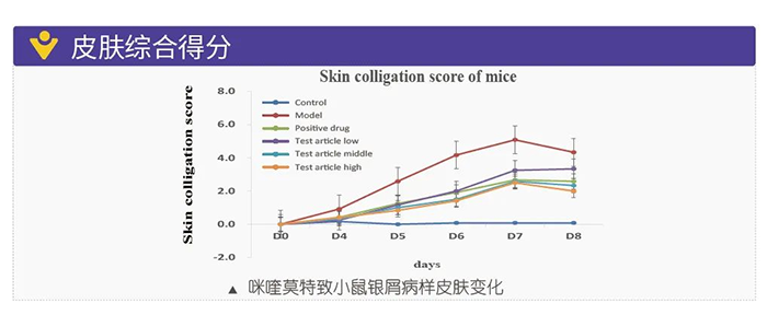BBIN游戏模拟银屑病的建模模子-皮肤综合得分.png