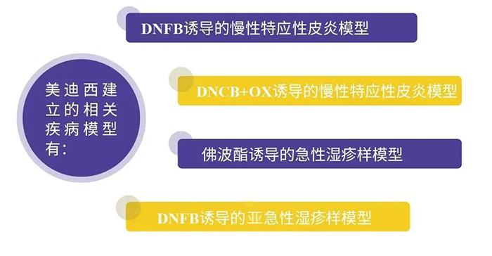BBIN游戏建设的特应性皮炎模子.png