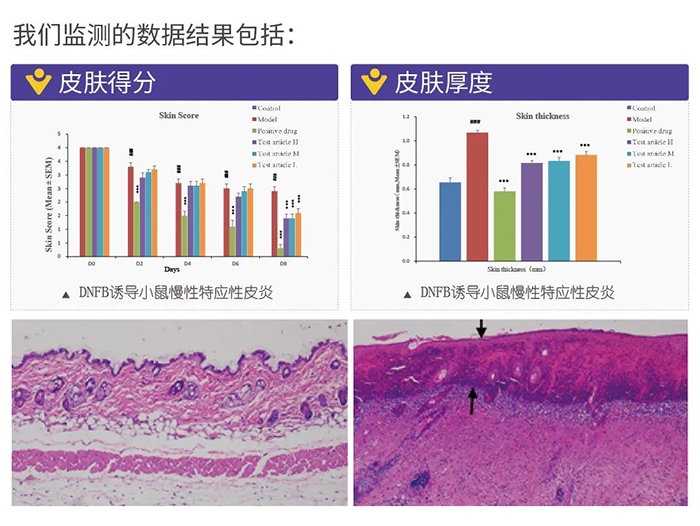 BBIN游戏监测的数据效果.png
