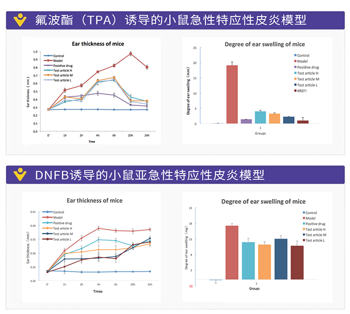 DNFB诱导的小鼠亚急性特应性皮炎模子.png