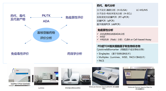 核酸药物生物剖析项目及涉及试验装备.png