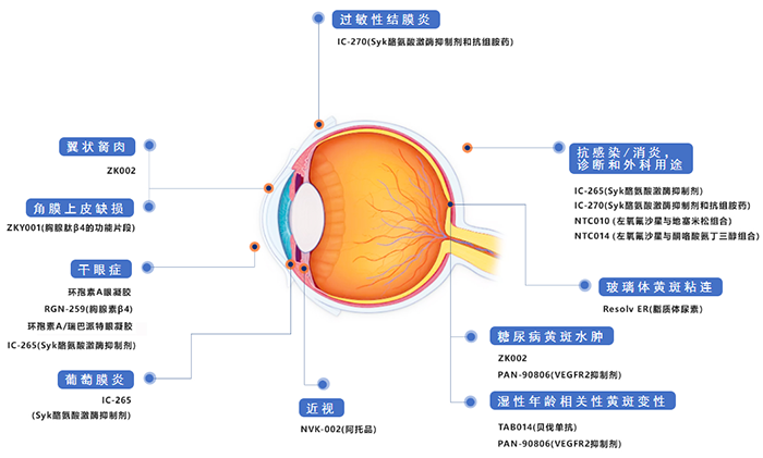 兆科眼科立异药物管线.png