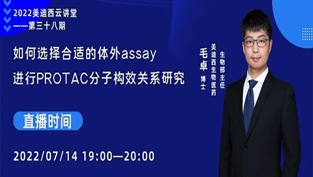【今日直播】怎样选择合适的体外assay举行PROTAC分子构效关系研究