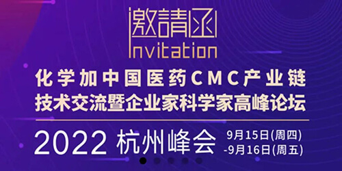 8-化学家中国医药CMC工业链.jpg