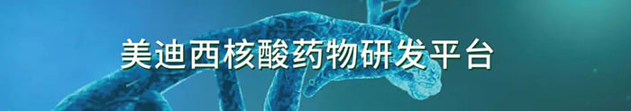 BBIN游戏生物医药核酸药物研发平台.jpg