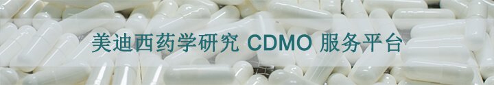 BBIN游戏药学研究CDMO效劳平台.jpg