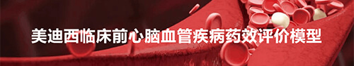 BBIN游戏临床前心脑血管疾病模子.jpg