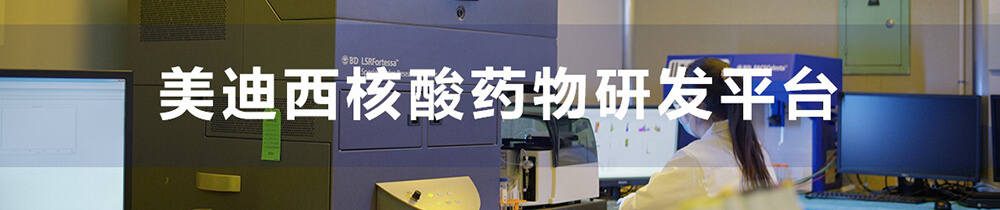 BBIN游戏核酸药物研发平台-1.jpg