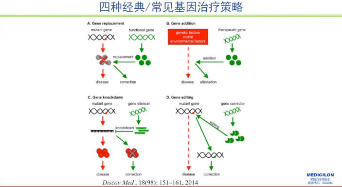 图1-四种经典常见基因治疗战略.jpg