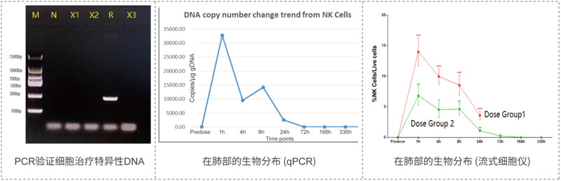 qPCR和流式细胞术获得的检测效果一致.jpg