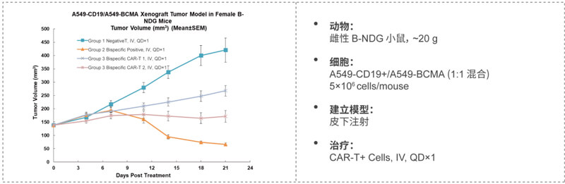 CAR-T细胞杀伤实验显示CAR-T细胞依赖性杀伤较Mock-T细胞增添.jpg