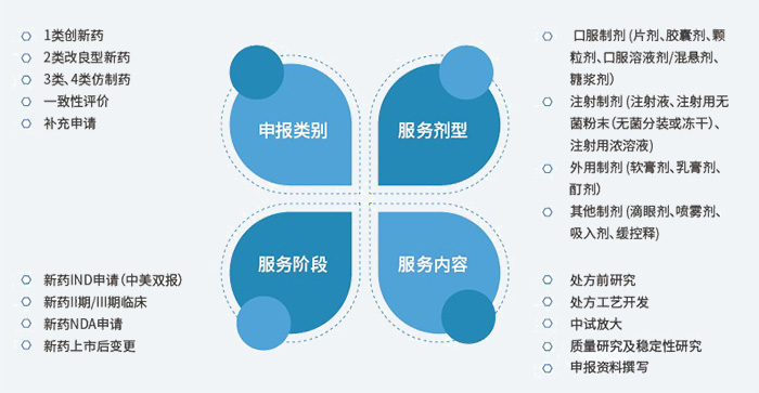 药物制剂效劳规模.jpg