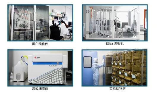 BBIN游戏抗体开发平台.jpg
